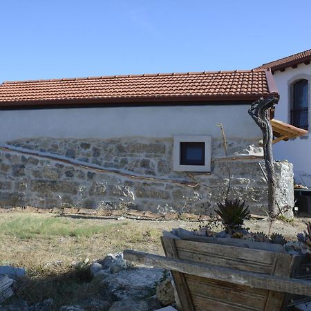 Casa Da Lima - Nestled In Nature On Santiago'S And Fatima'S Path, Close To Coimbra And Rabacal Alvorge Exteriér fotografie