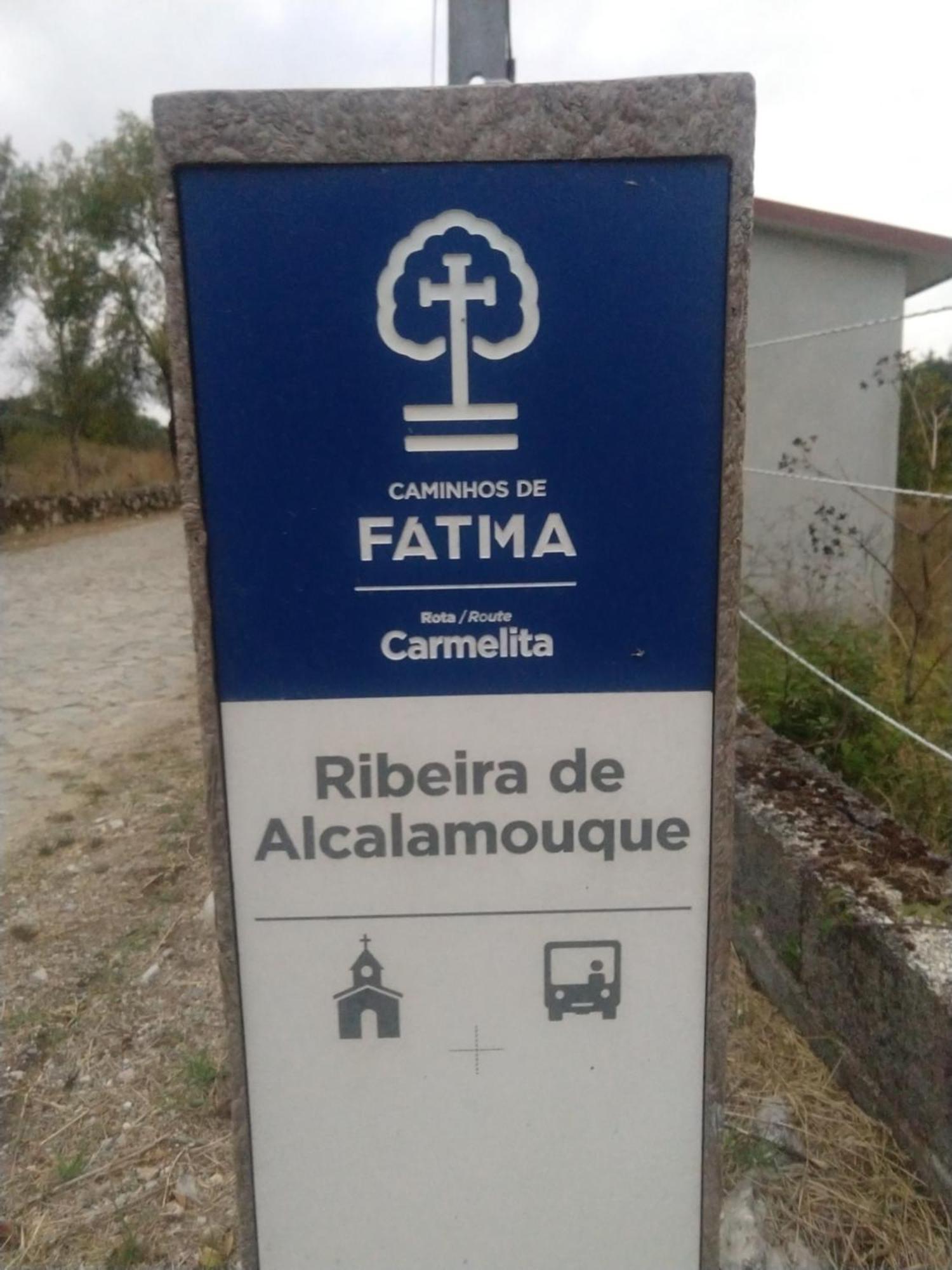 Casa Da Lima - Nestled In Nature On Santiago'S And Fatima'S Path, Close To Coimbra And Rabacal Alvorge Exteriér fotografie