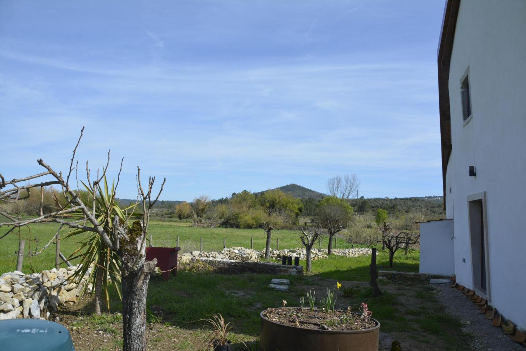 Casa Da Lima - Nestled In Nature On Santiago'S And Fatima'S Path, Close To Coimbra And Rabacal Alvorge Exteriér fotografie