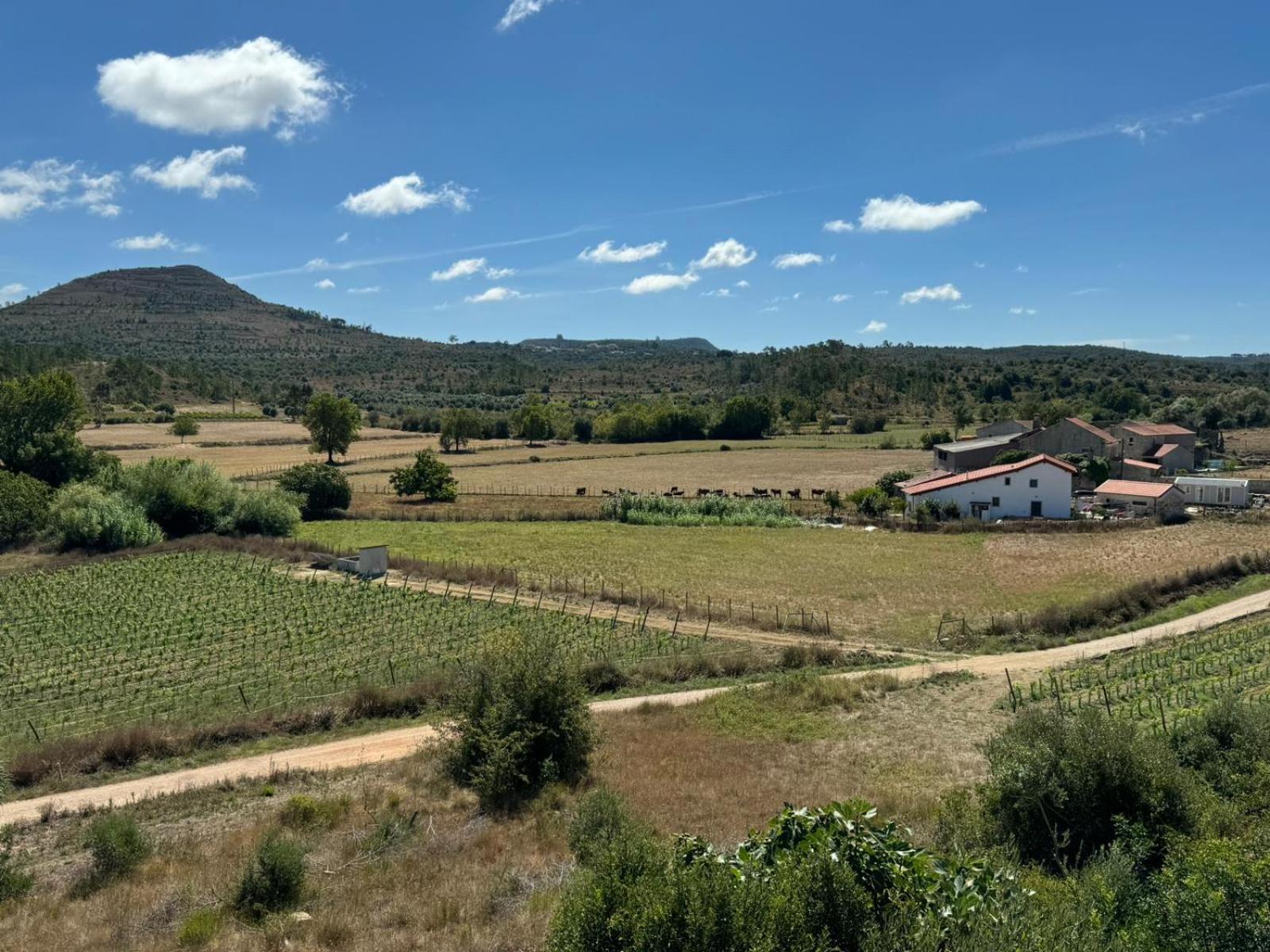 Casa Da Lima - Nestled In Nature On Santiago'S And Fatima'S Path, Close To Coimbra And Rabacal Alvorge Exteriér fotografie