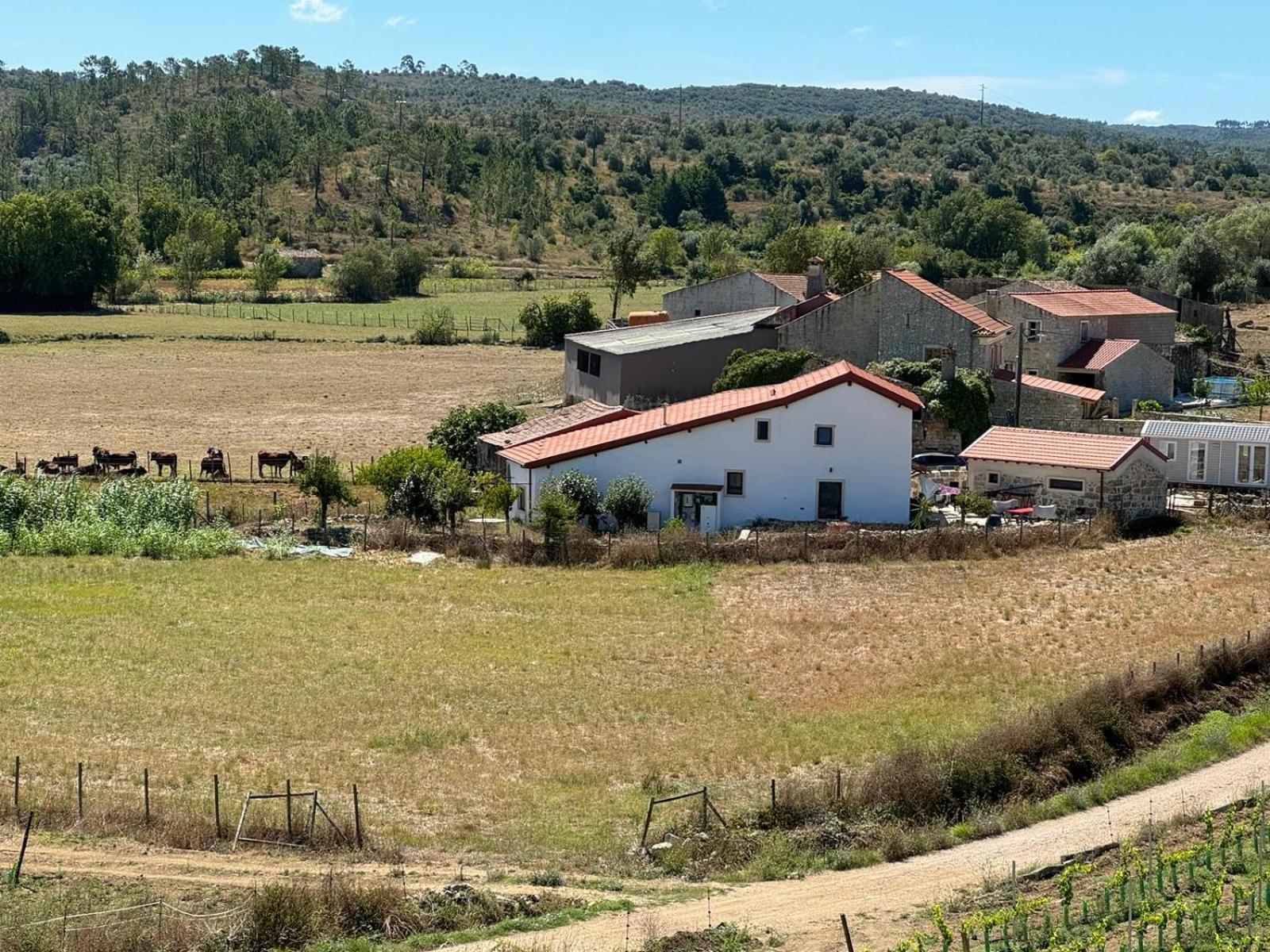 Casa Da Lima - Nestled In Nature On Santiago'S And Fatima'S Path, Close To Coimbra And Rabacal Alvorge Exteriér fotografie