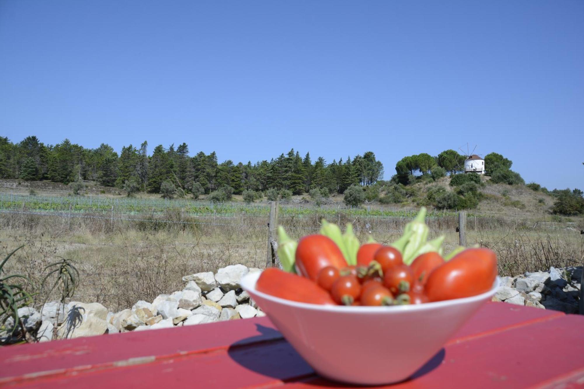 Casa Da Lima - Nestled In Nature On Santiago'S And Fatima'S Path, Close To Coimbra And Rabacal Alvorge Exteriér fotografie