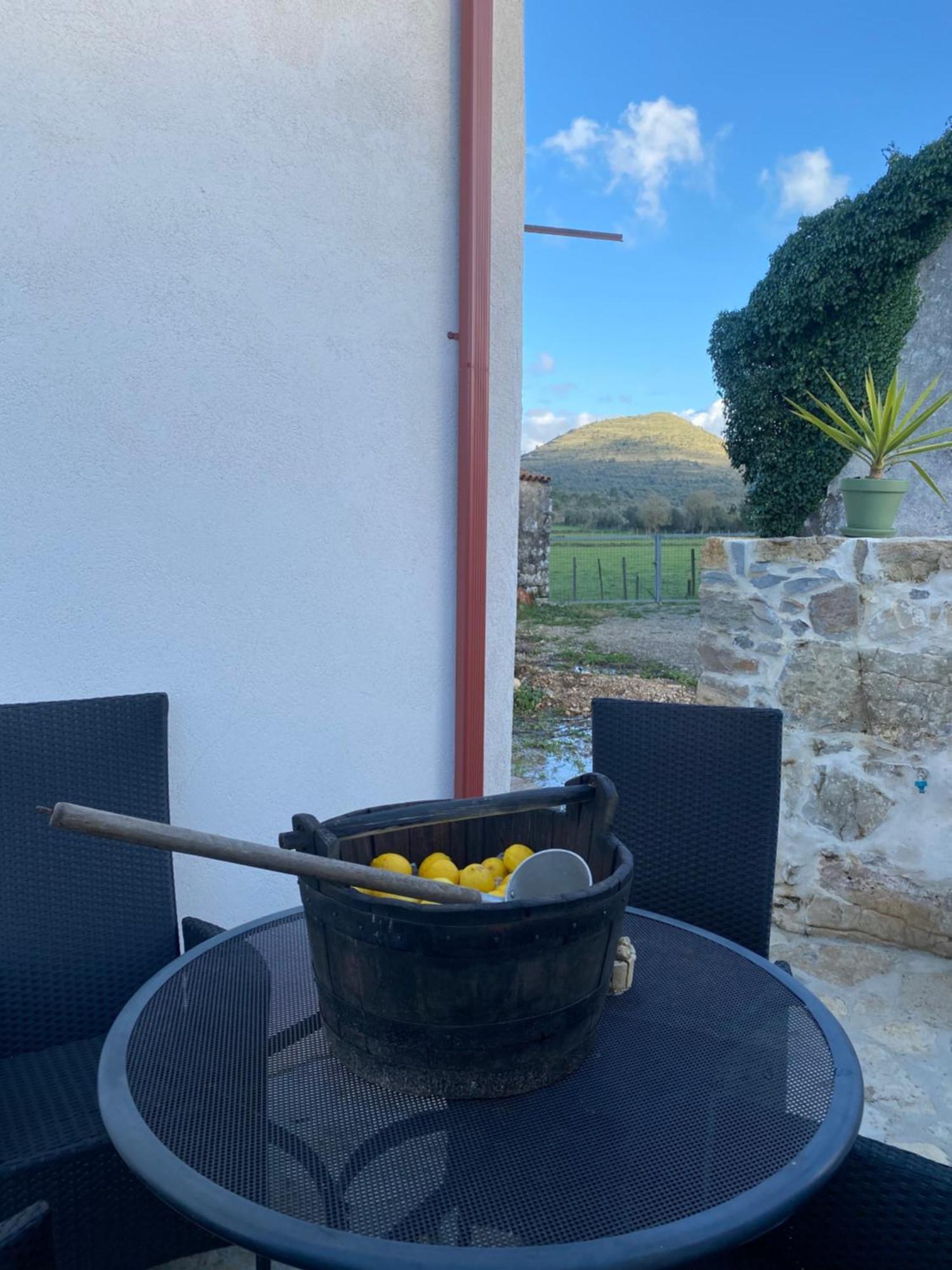 Casa Da Lima - Nestled In Nature On Santiago'S And Fatima'S Path, Close To Coimbra And Rabacal Alvorge Exteriér fotografie