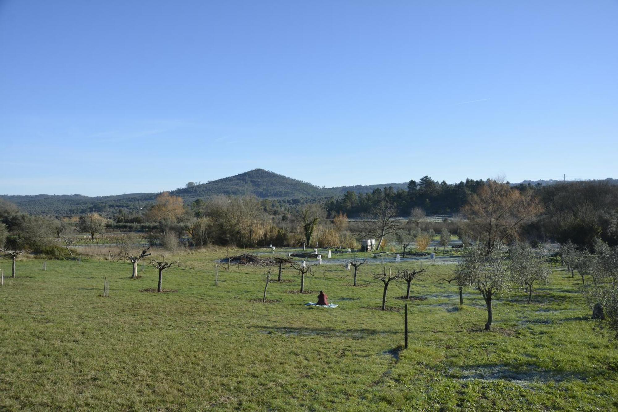 Casa Da Lima - Nestled In Nature On Santiago'S And Fatima'S Path, Close To Coimbra And Rabacal Alvorge Exteriér fotografie